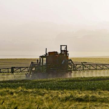 Nemen België en Nederland de pesticideproblematiek serieus?